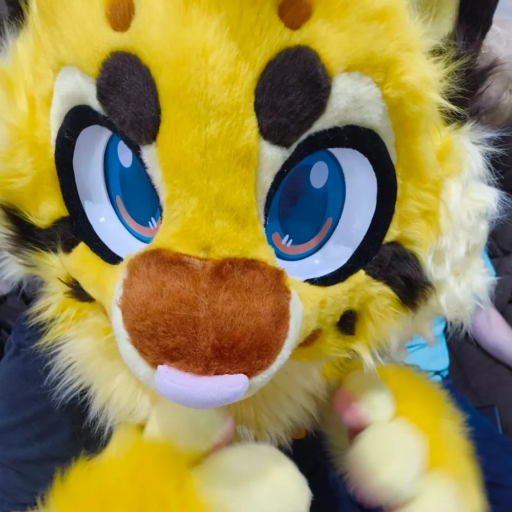 catboycraig.bsky.social's profile picture