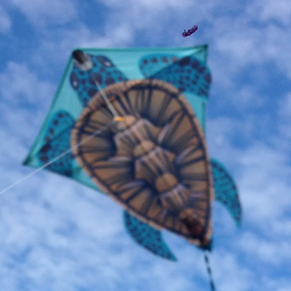 flixton60.bsky.social's profile picture