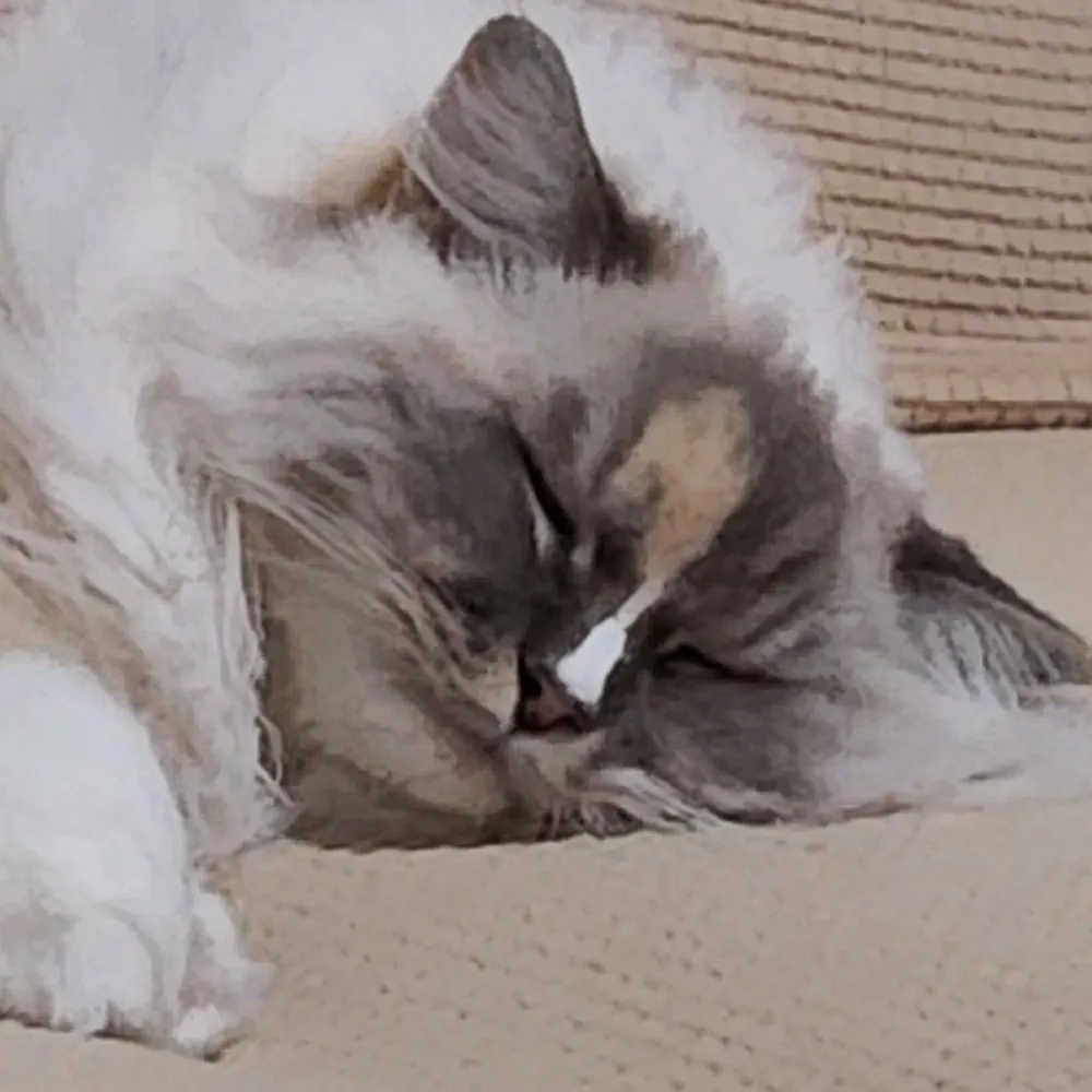 jmdeiris.bsky.social's profile picture