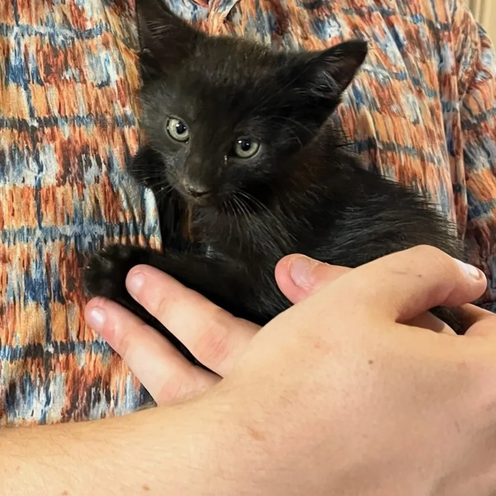 maxaue.bsky.social's profile picture