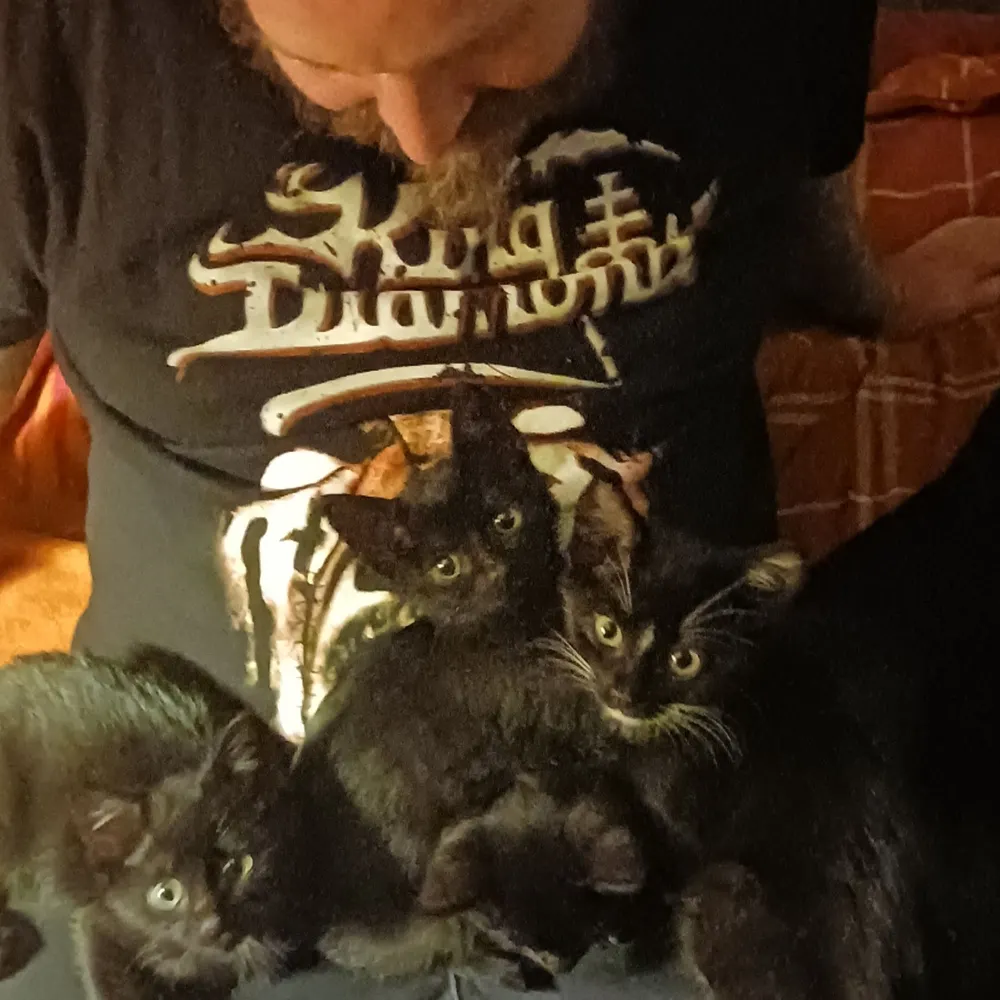 countfangsley.bsky.social's profile picture