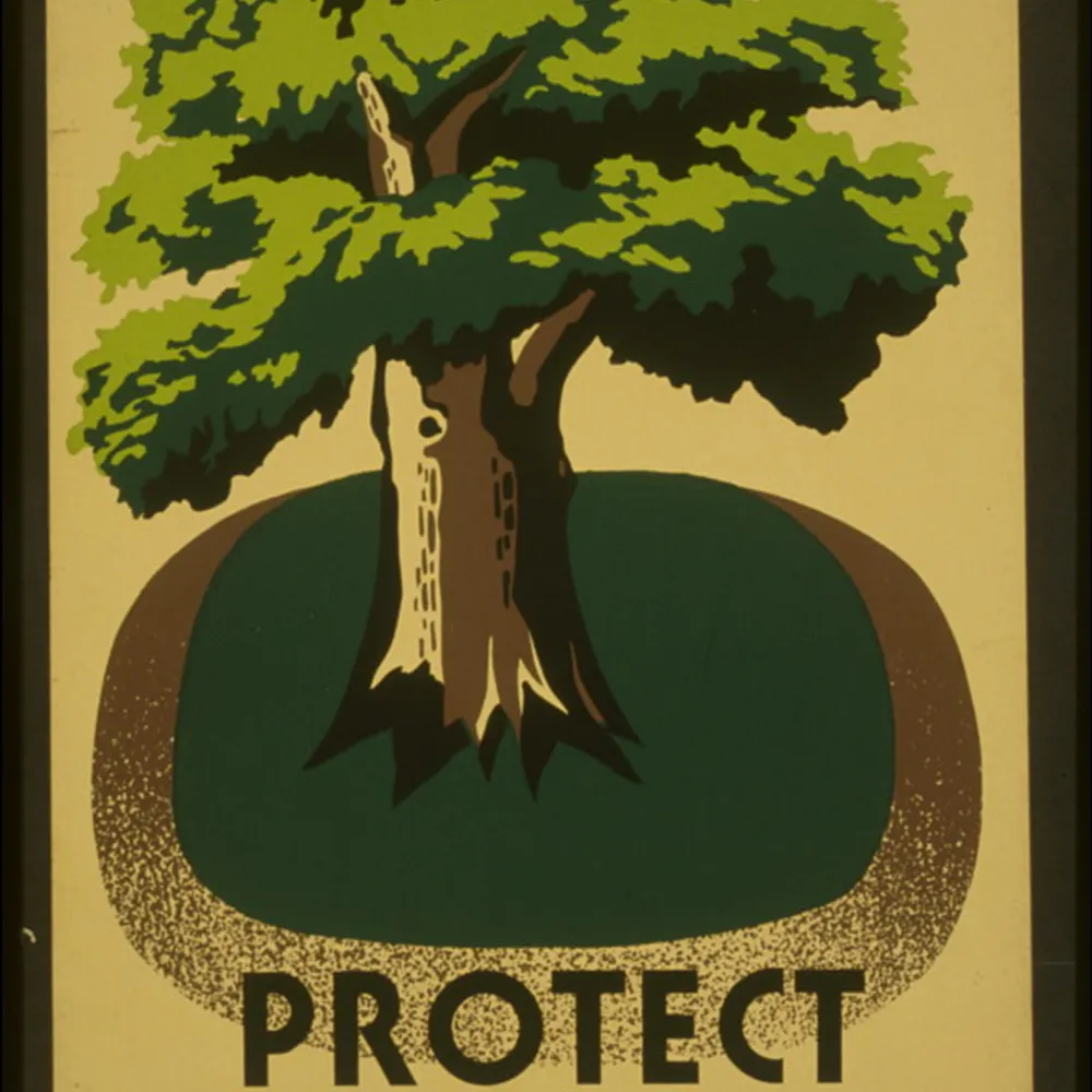 kghawes.bsky.social's profile picture