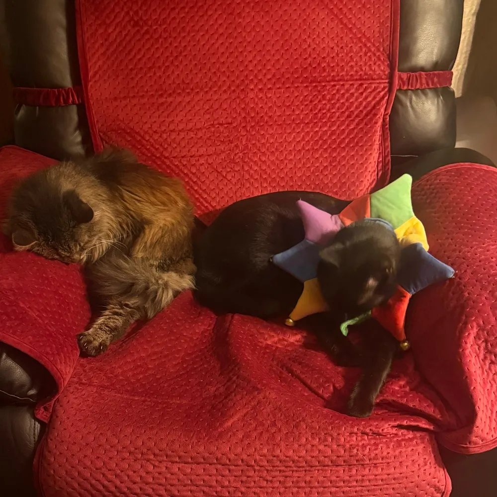 johngcole.bsky.social's profile picture