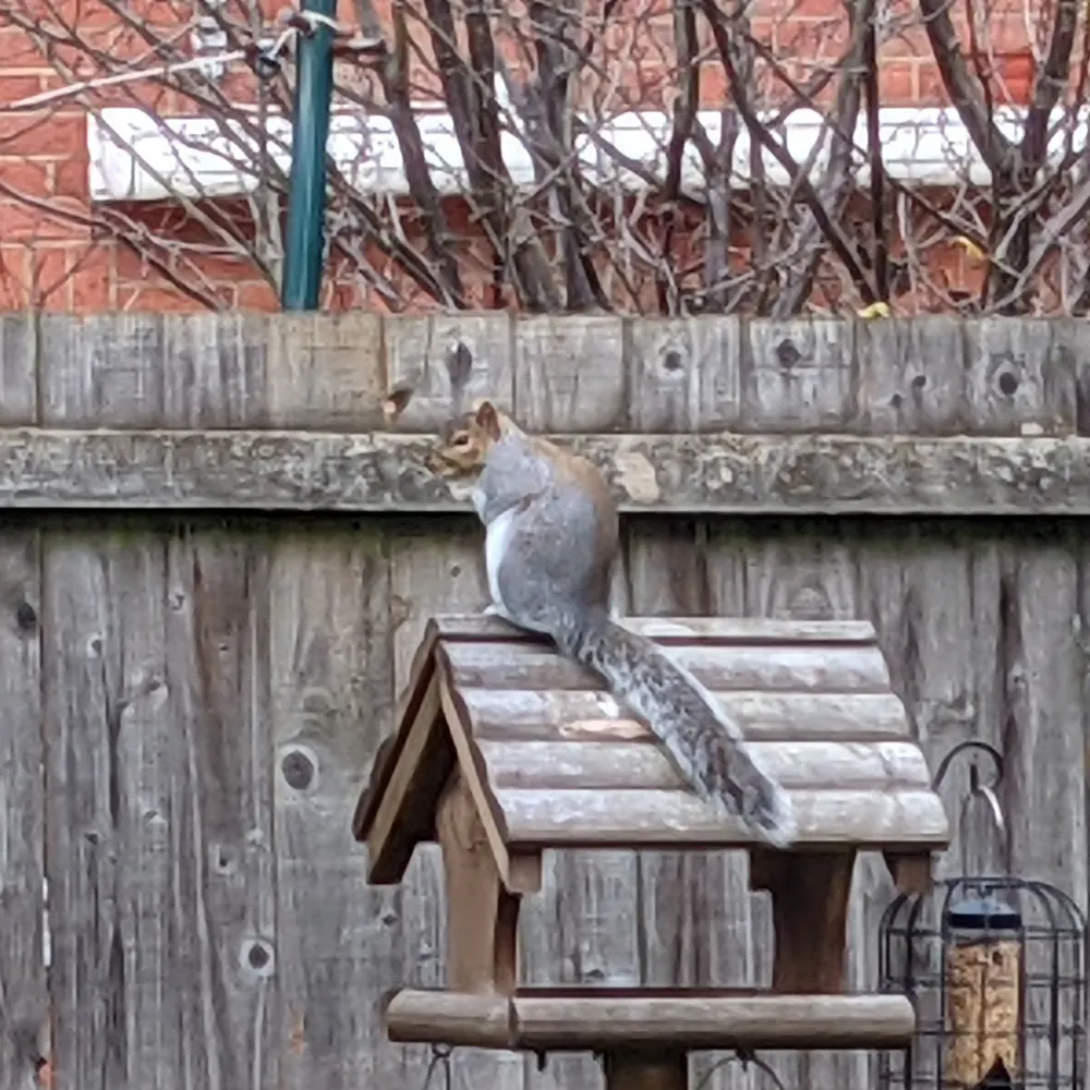 hygyns.bsky.social's profile picture