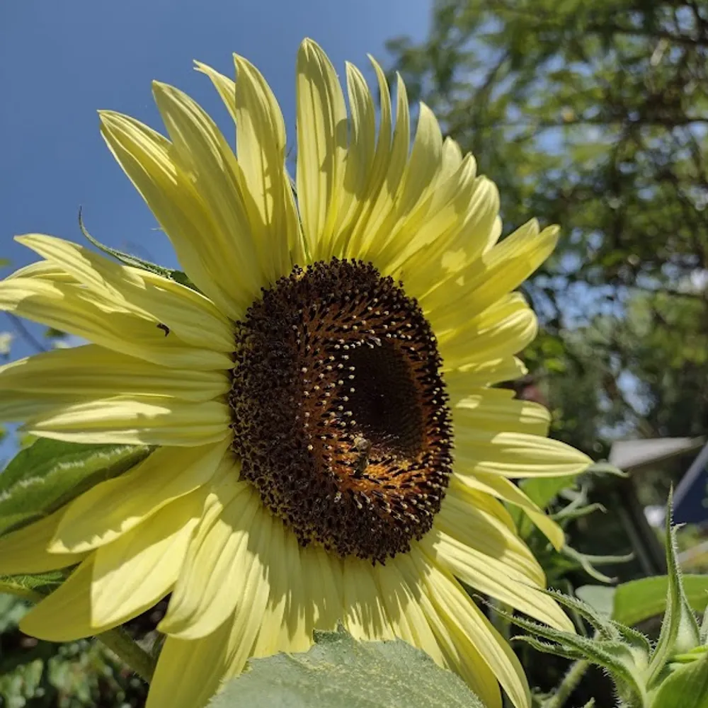 philtor.bsky.social's profile picture