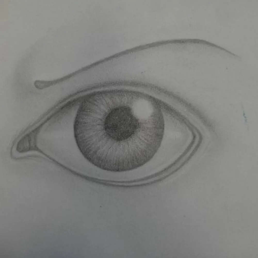 flossyflook.bsky.social's profile picture