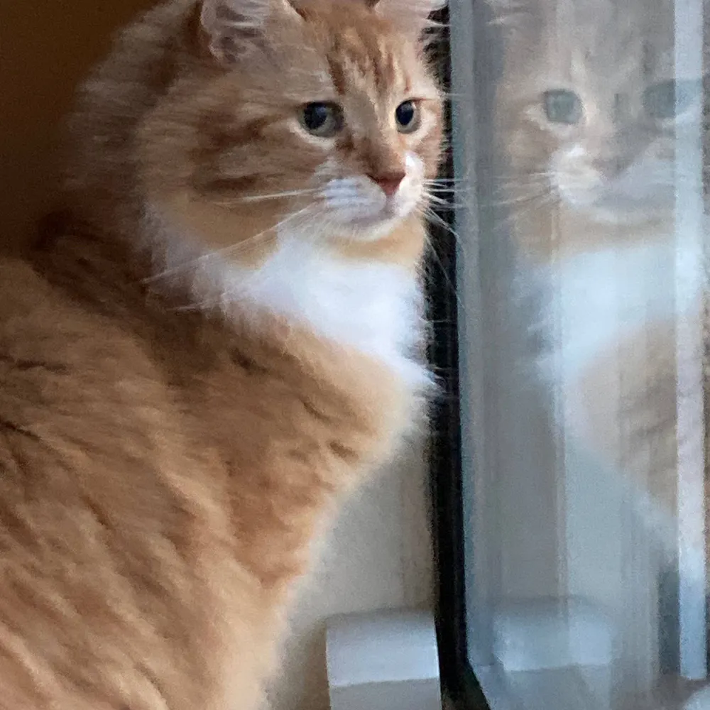 brianmcgbos.bsky.social's profile picture