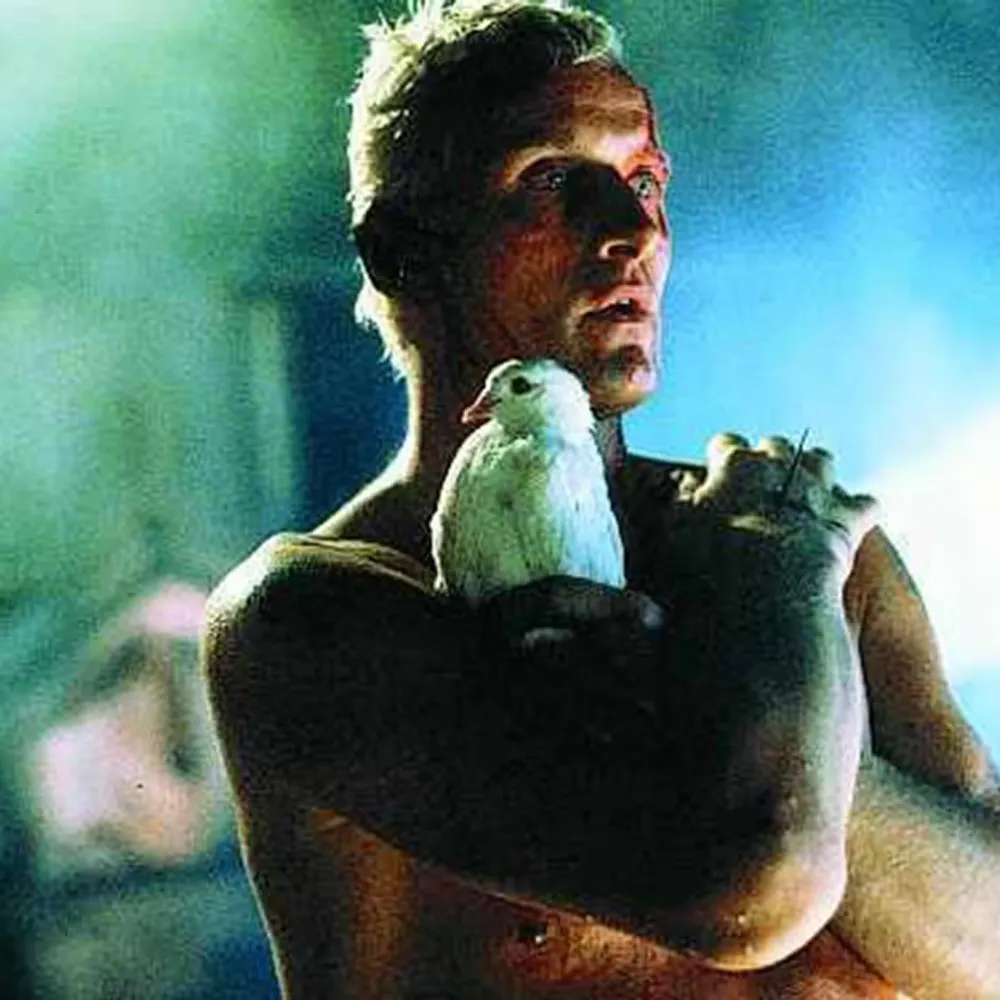 noodles8888.bsky.social's profile picture