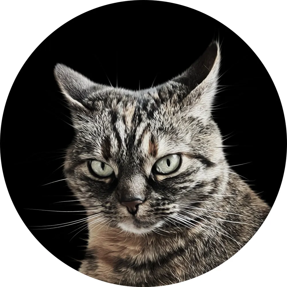 frolleincortex.bsky.social's profile picture