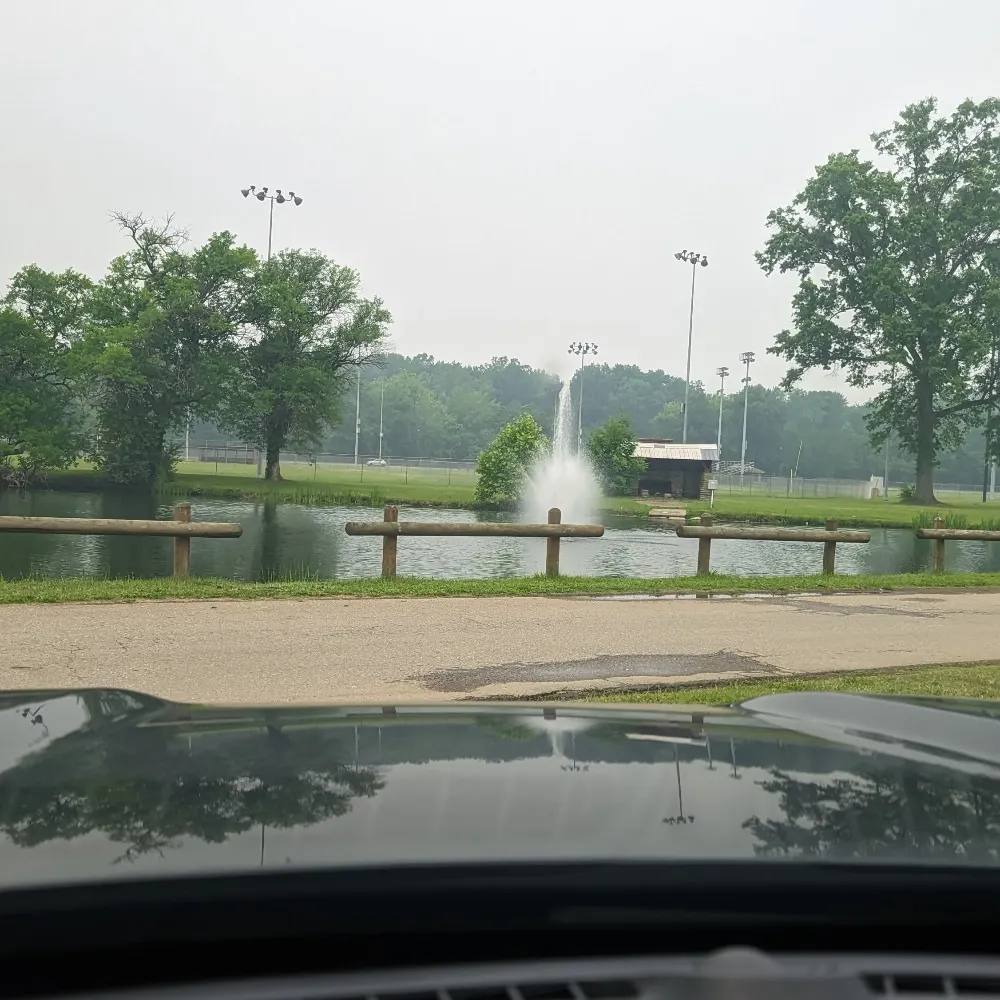 catsofblsky.bsky.social's profile picture