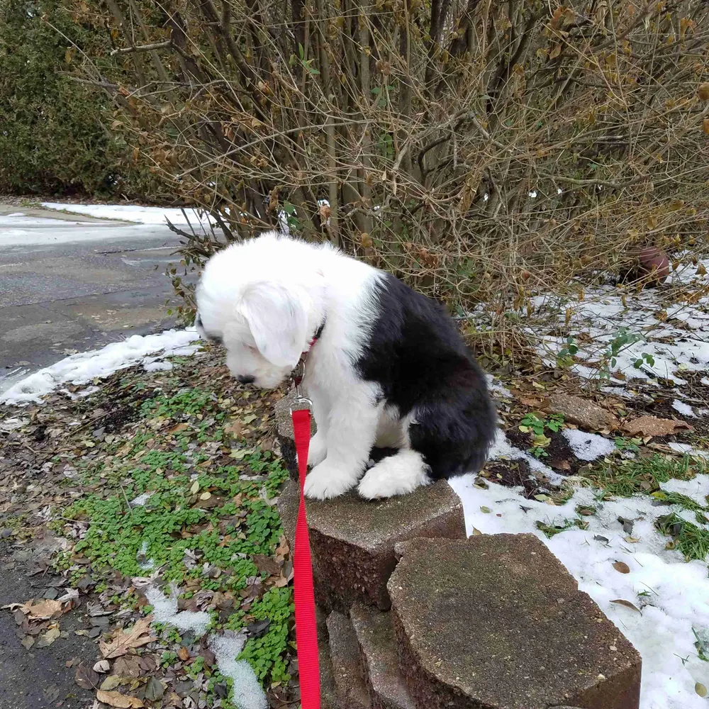 tomsebald.bsky.social's profile picture