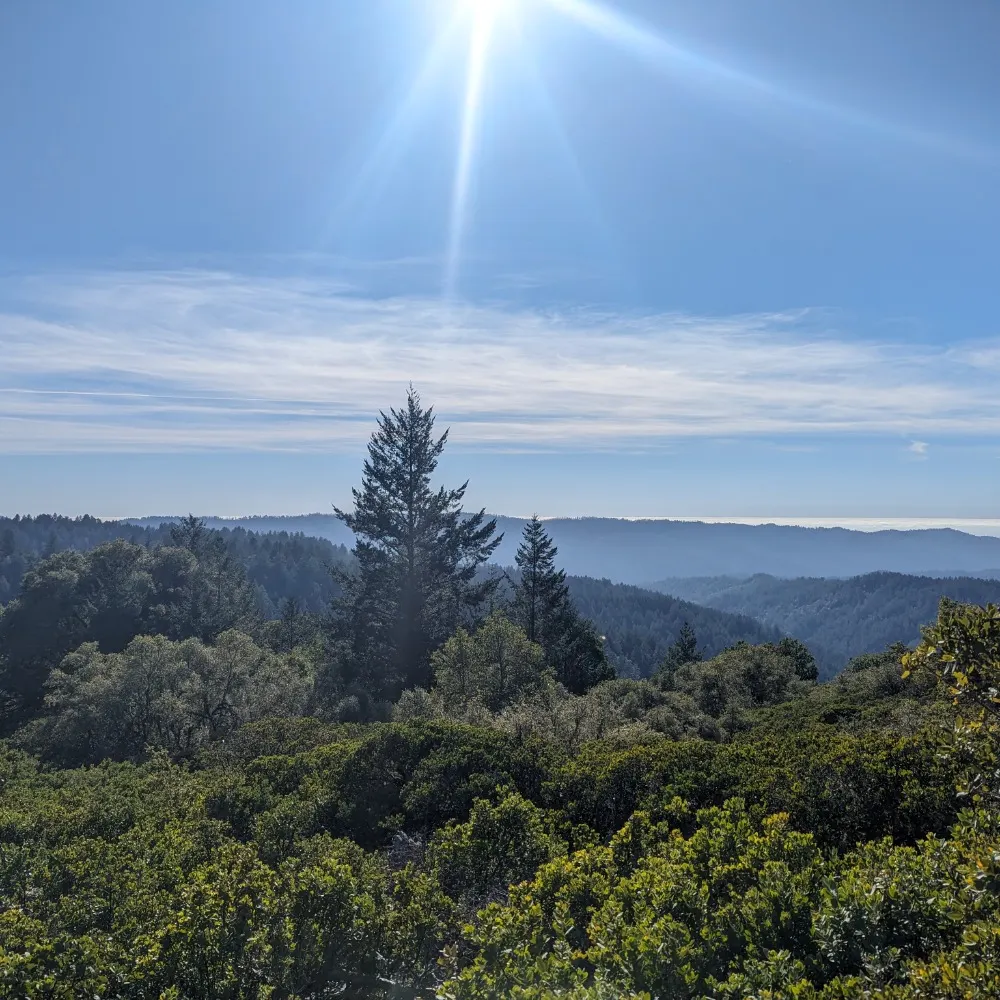 walmsley.bsky.social's profile picture