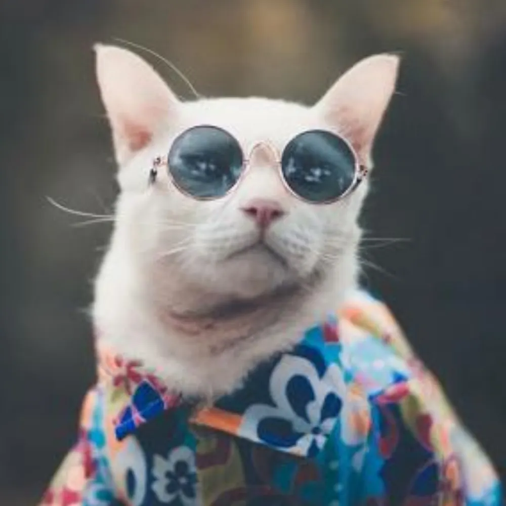 scharlatanka.bsky.social's profile picture