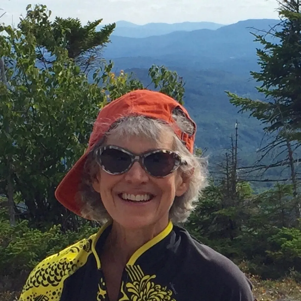 dnmnb.bsky.social's profile picture