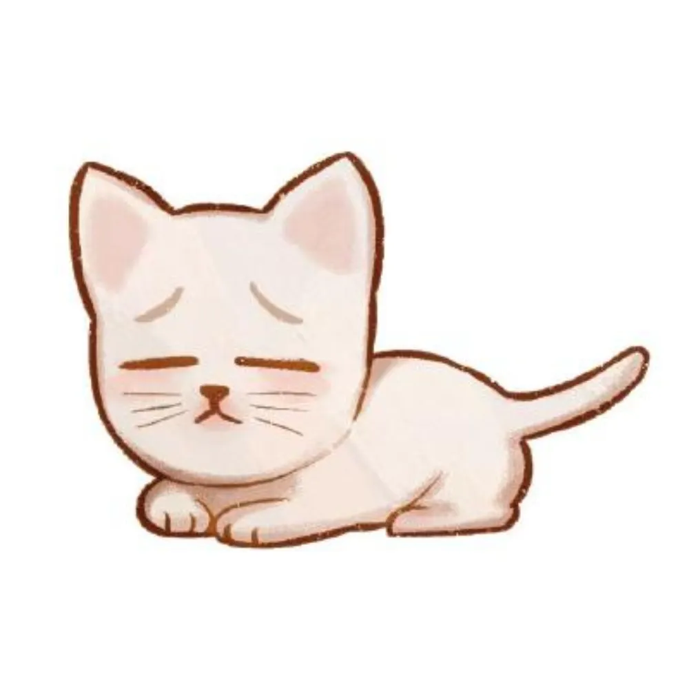 pitr.dev's profile picture