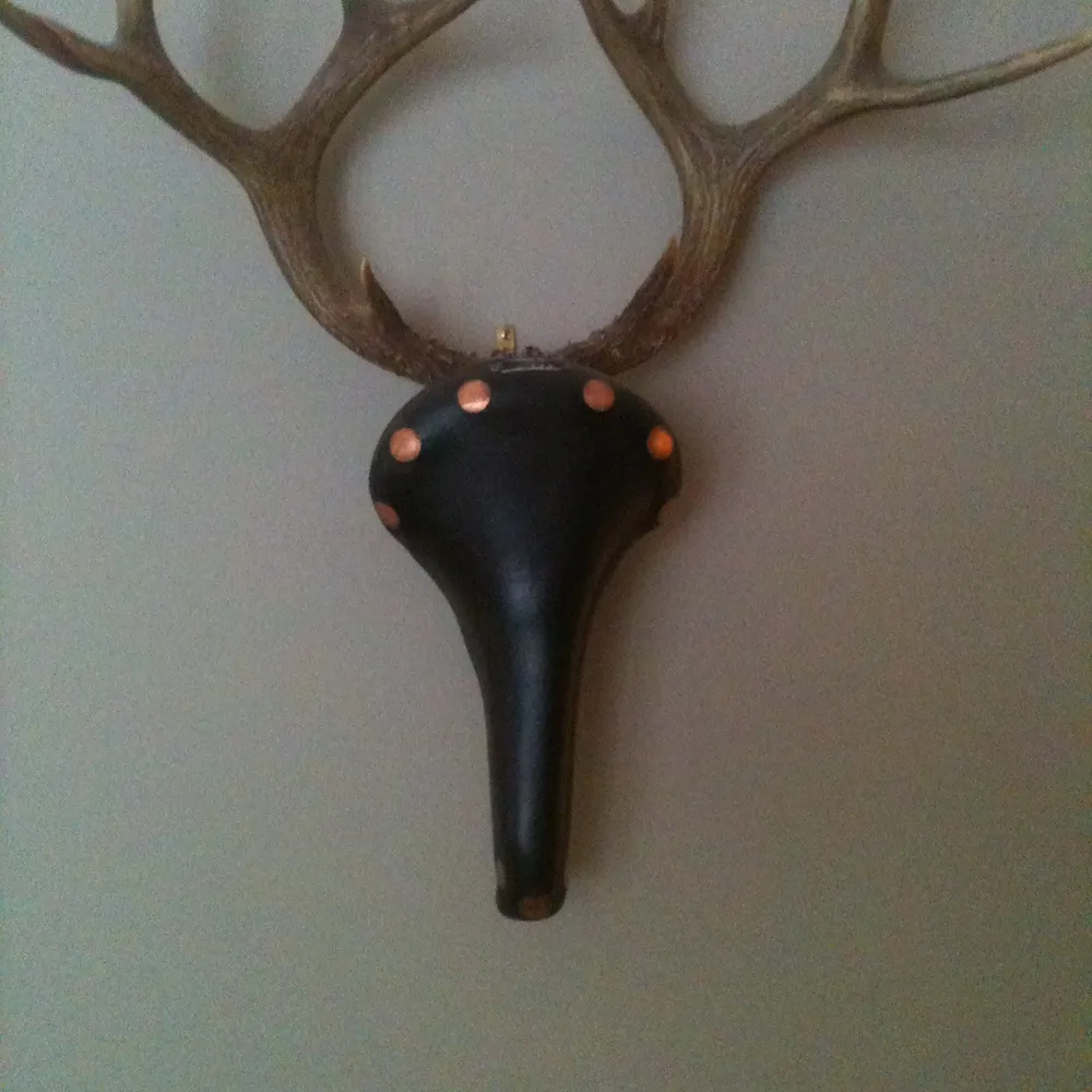 meginvermont.bsky.social's profile picture