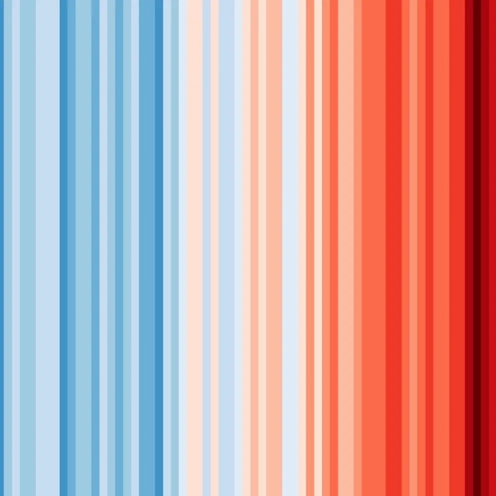 redwild.bsky.social's profile picture