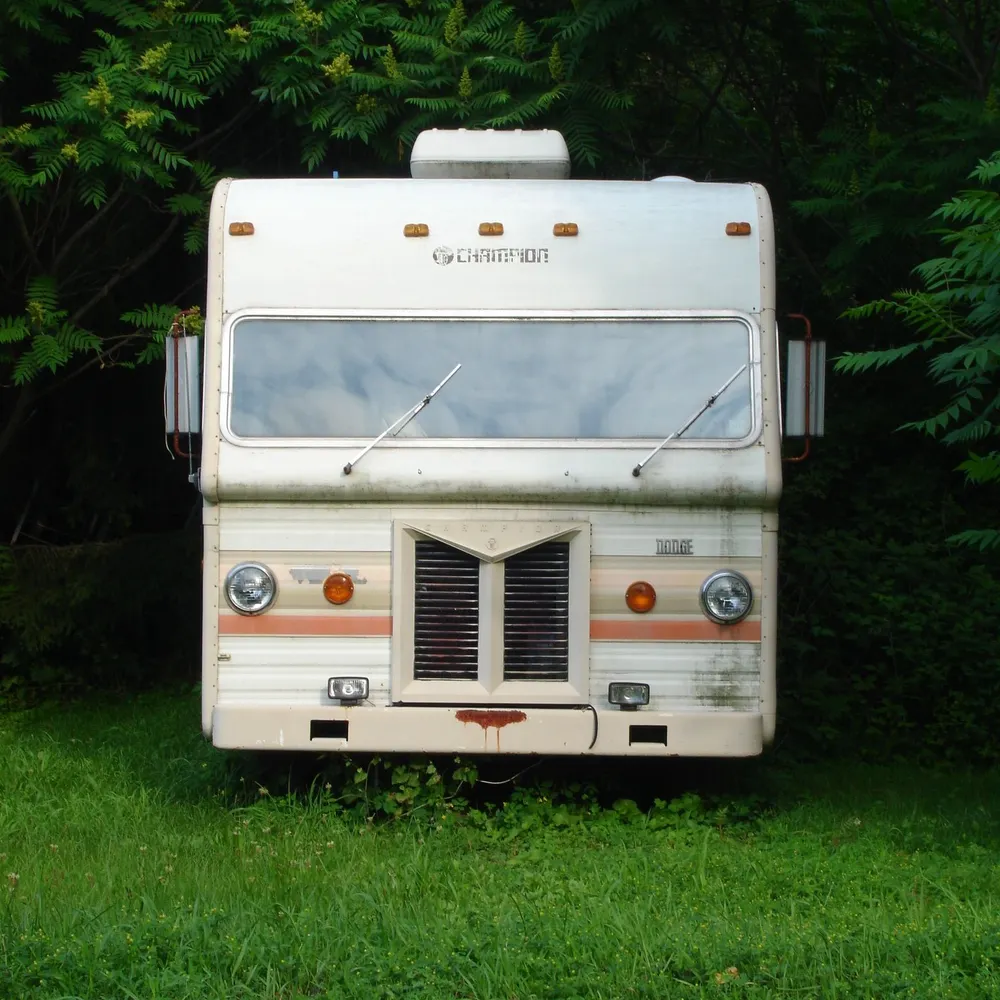 elizdp.bsky.social's profile picture