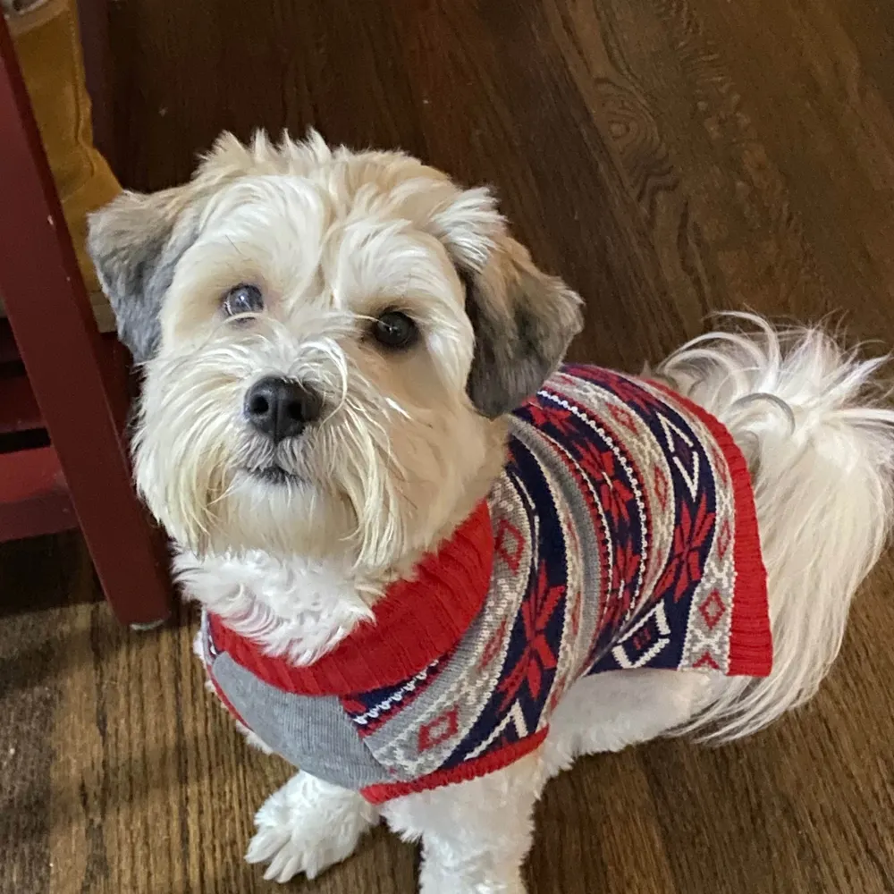 jgerardi.bsky.social's profile picture