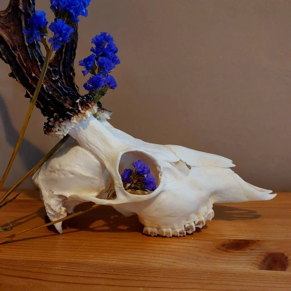 drawinginspired.bsky.social's profile picture