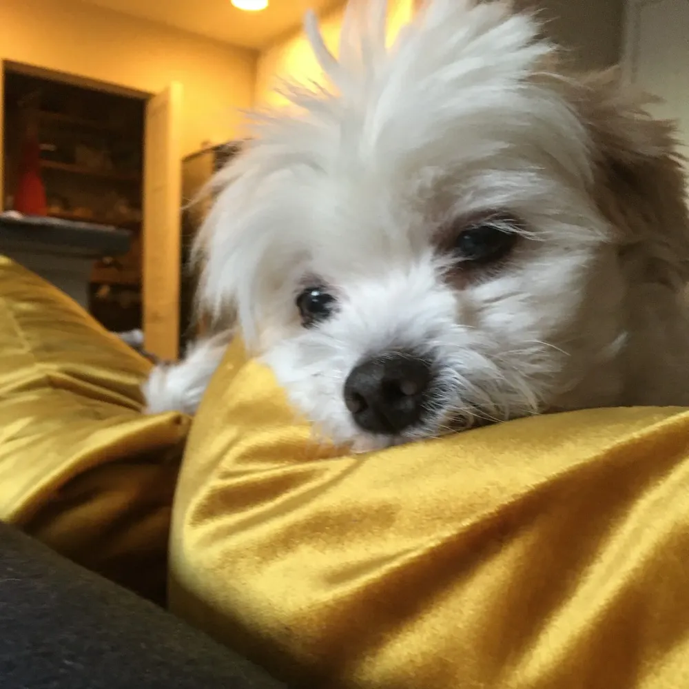 millie29.bsky.social's profile picture