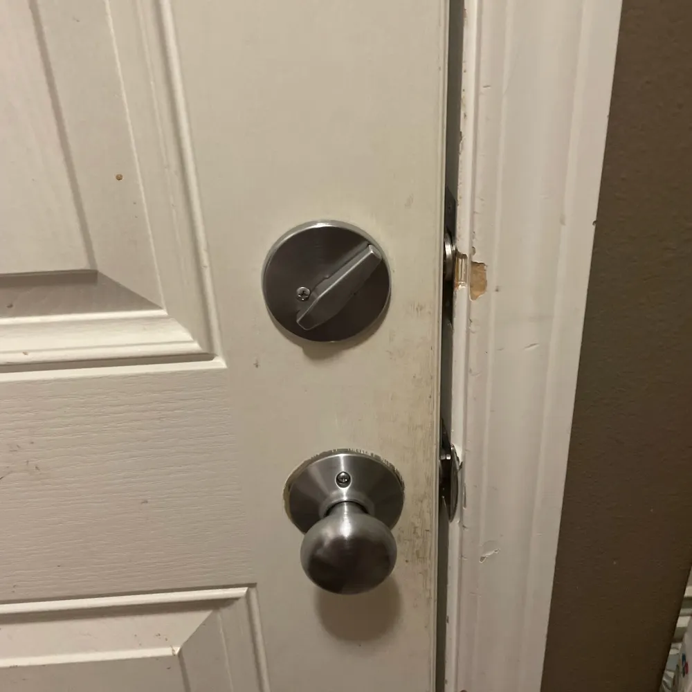 wildstarryskies.bsky.social's profile picture