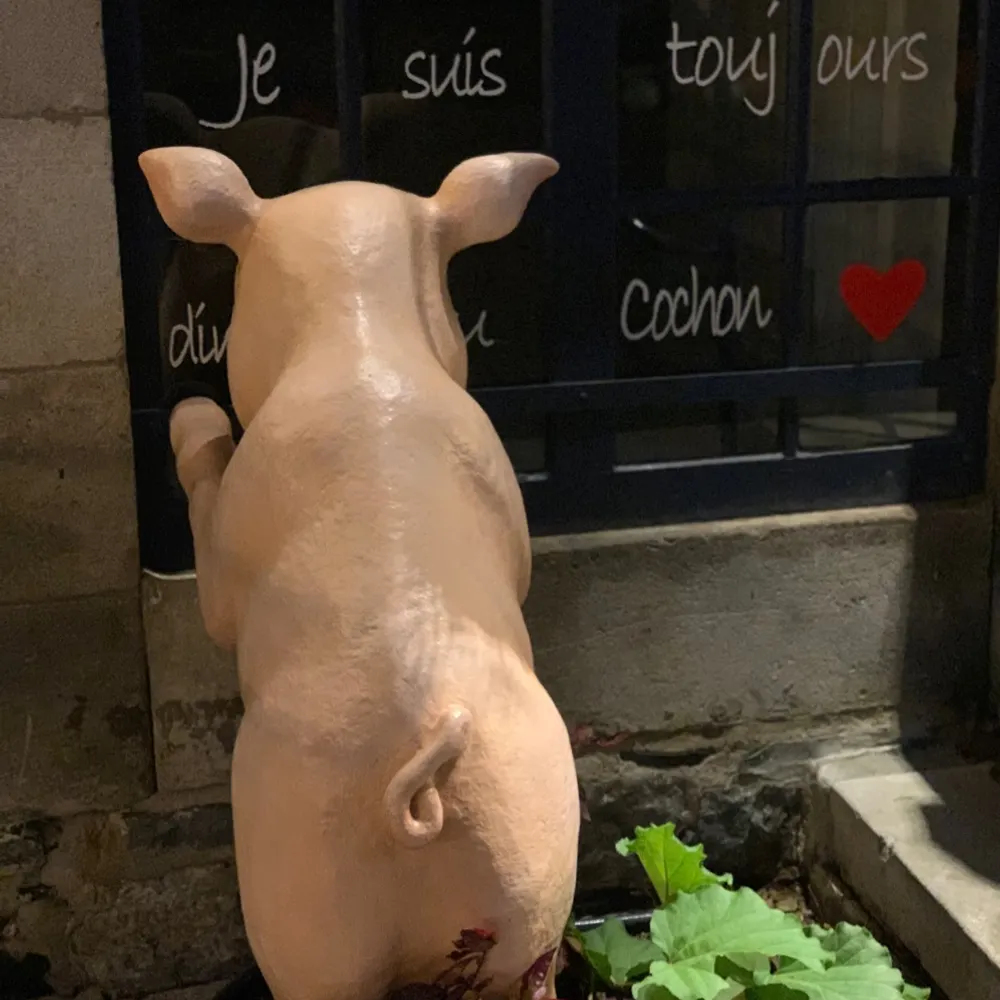 menodeyah1915.bsky.social's profile picture