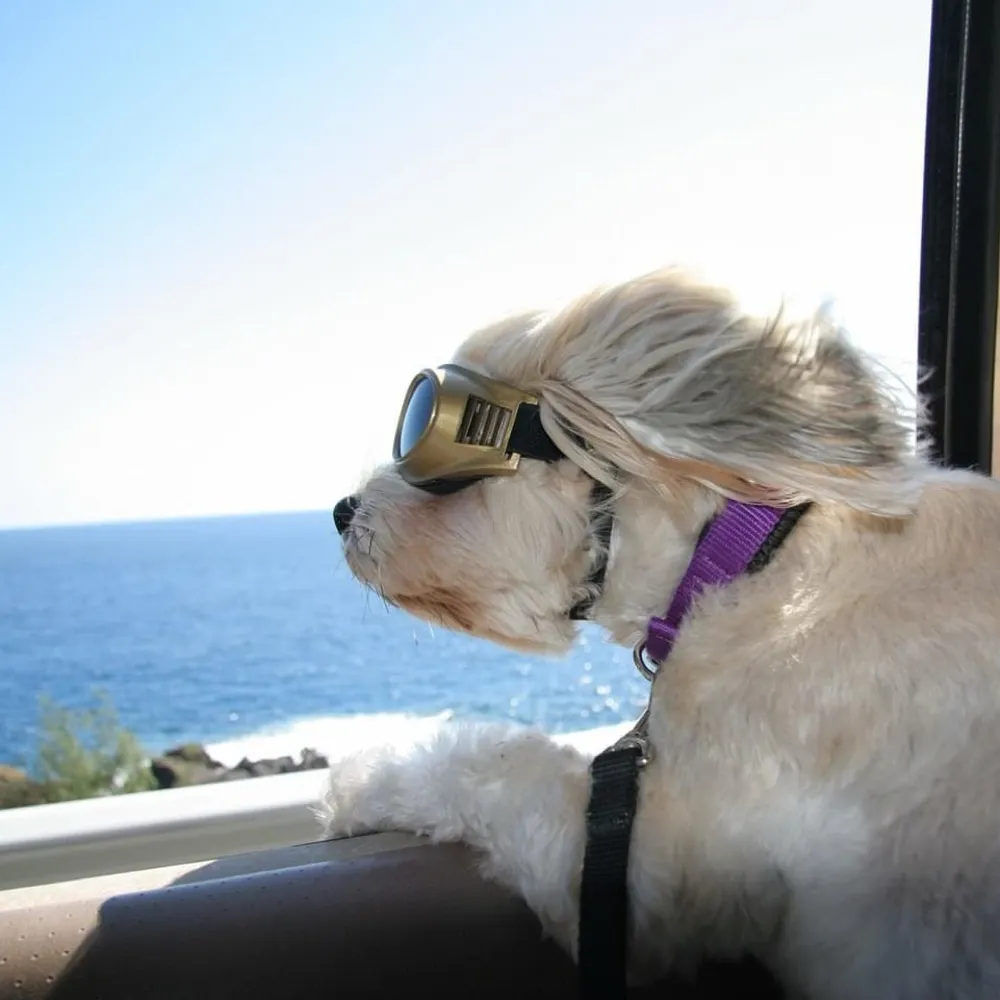 2learnmore.bsky.social's profile picture