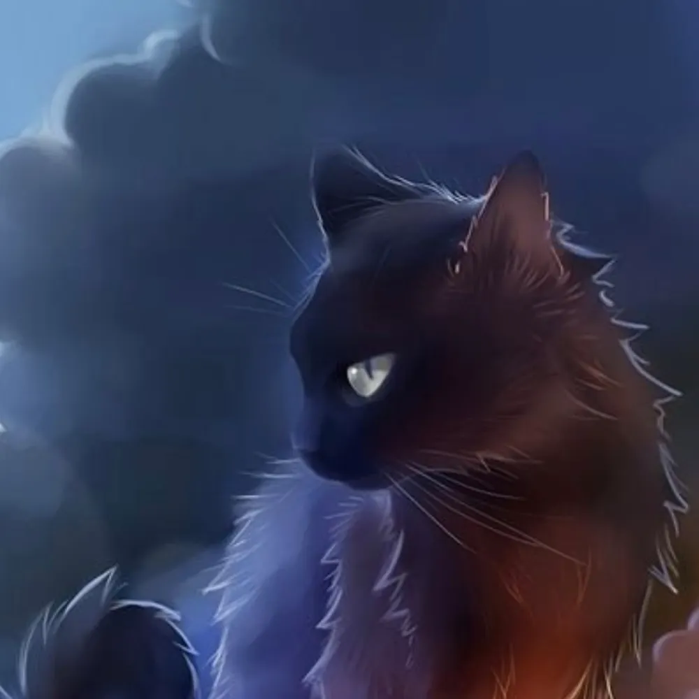 florian23.bsky.social's profile picture