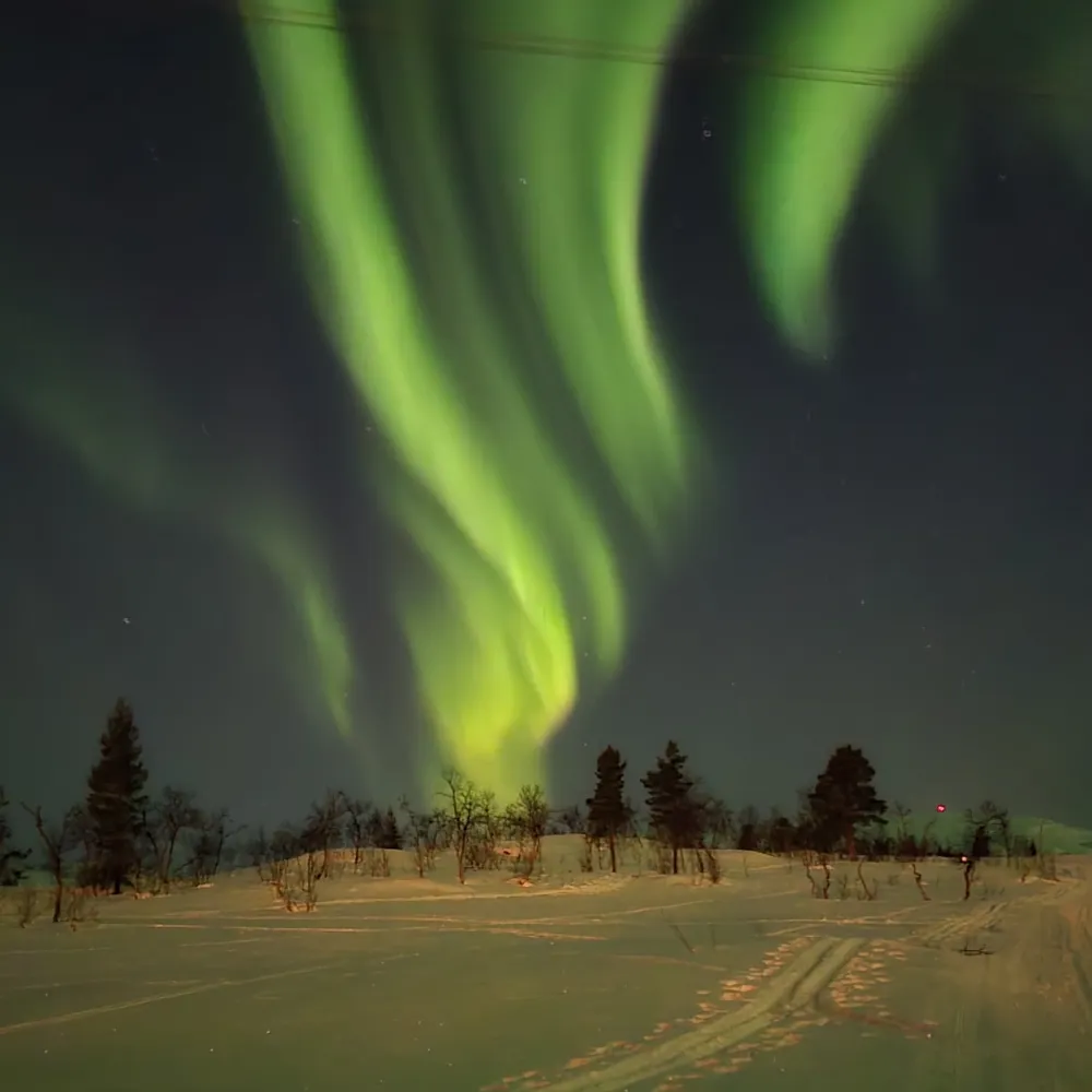 baldzera.bsky.social's profile picture