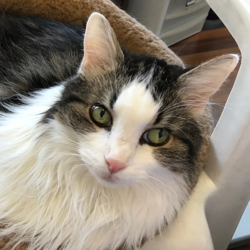 oddleighenough.bsky.social's profile picture