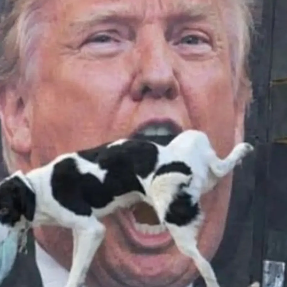 realjohncarvill.bsky.social's profile picture