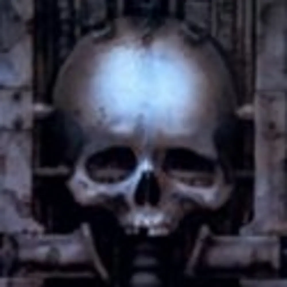 svartmetall.bsky.social's profile picture