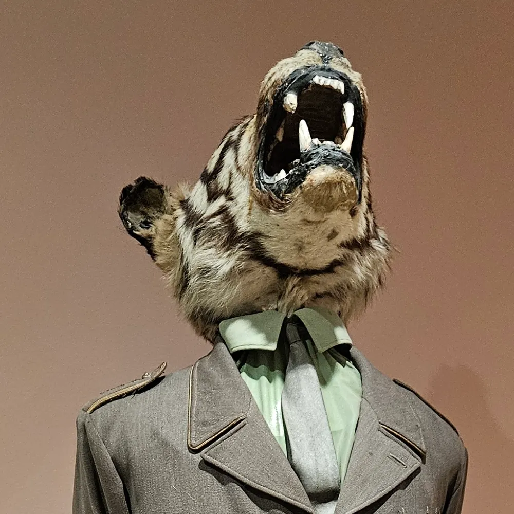 kaijumara.bsky.social's profile picture