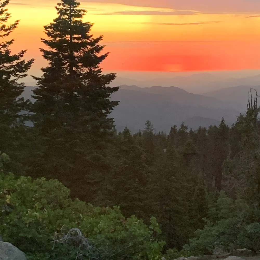 bob1005.bsky.social's profile picture