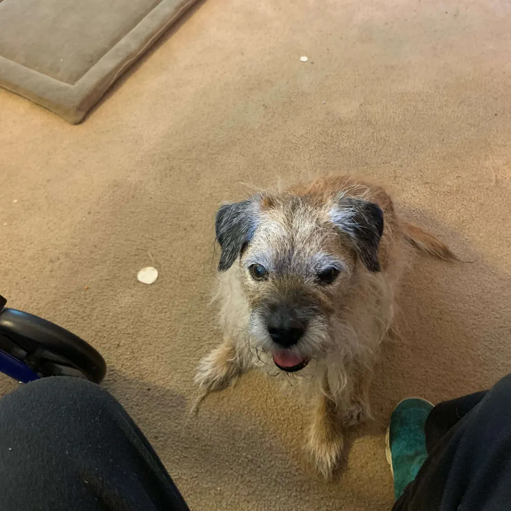 auntsophie.bsky.social's profile picture