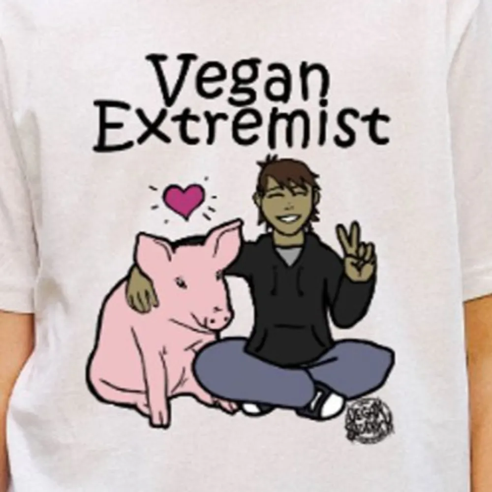 butterflieskatz.bsky.social's profile picture