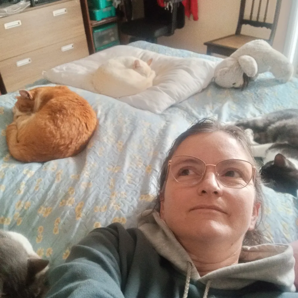 lcontessoto.bsky.social's profile picture