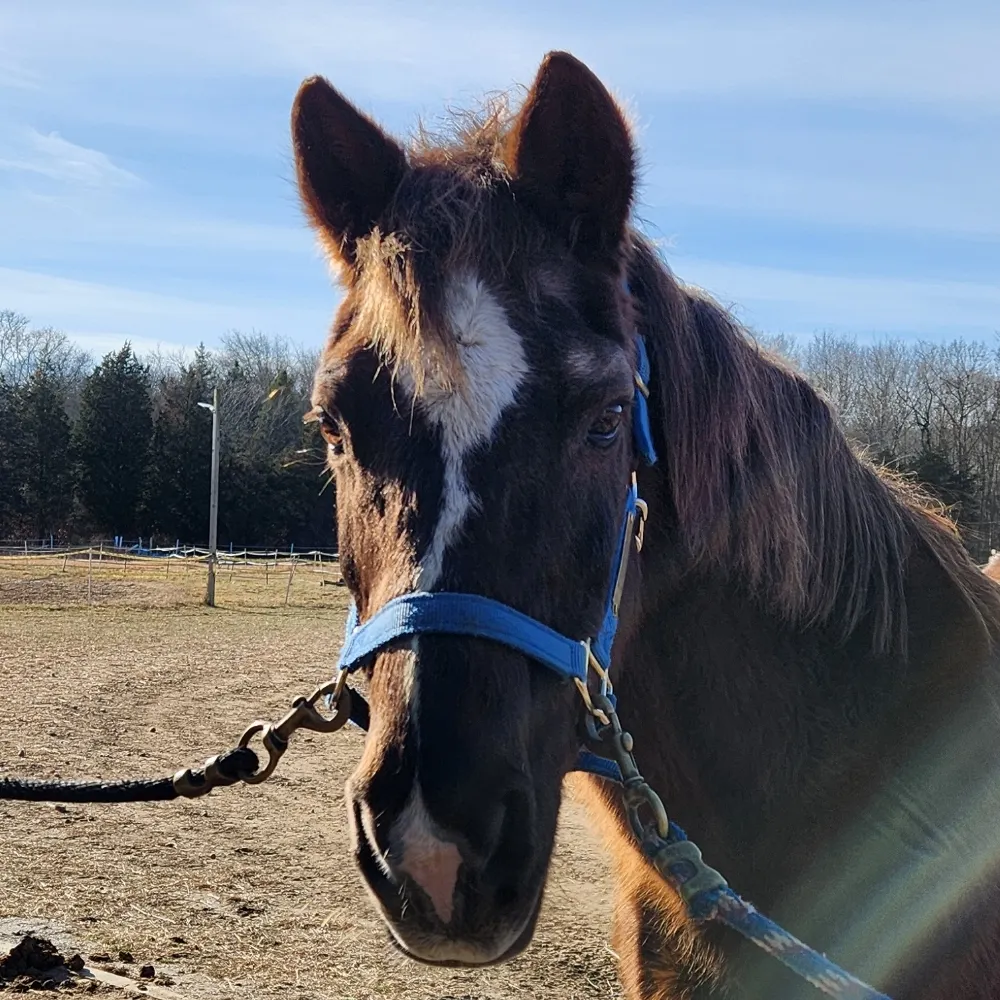 debmd.bsky.social's profile picture