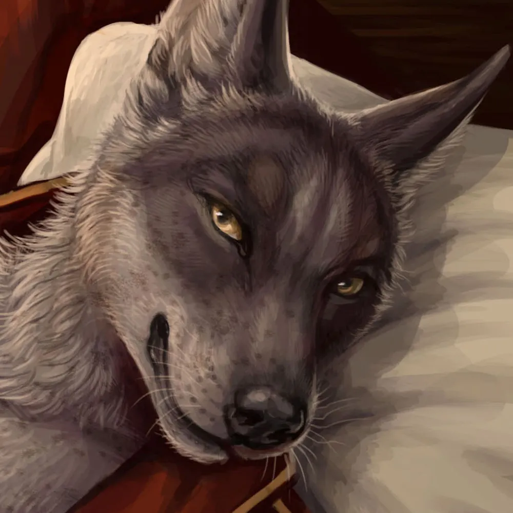 rukis.bsky.social's profile picture