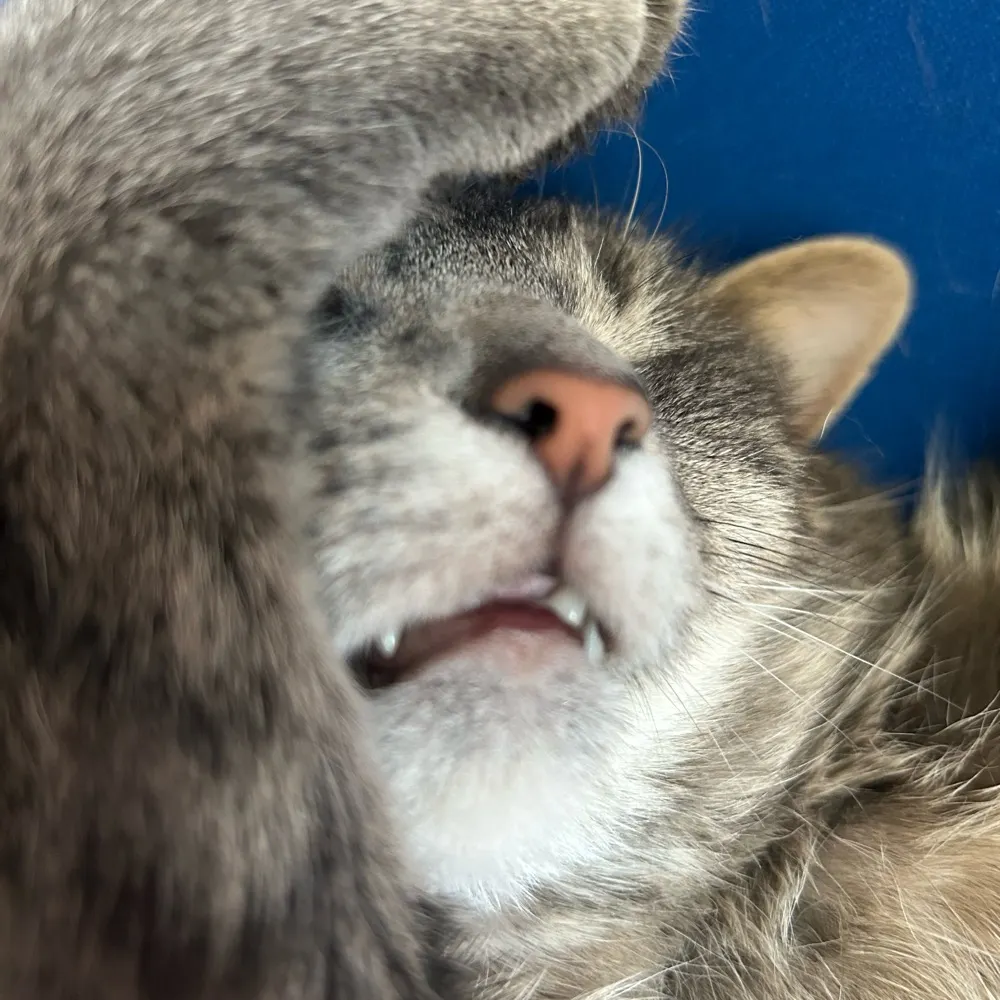 noternunstoned.bsky.social's profile picture