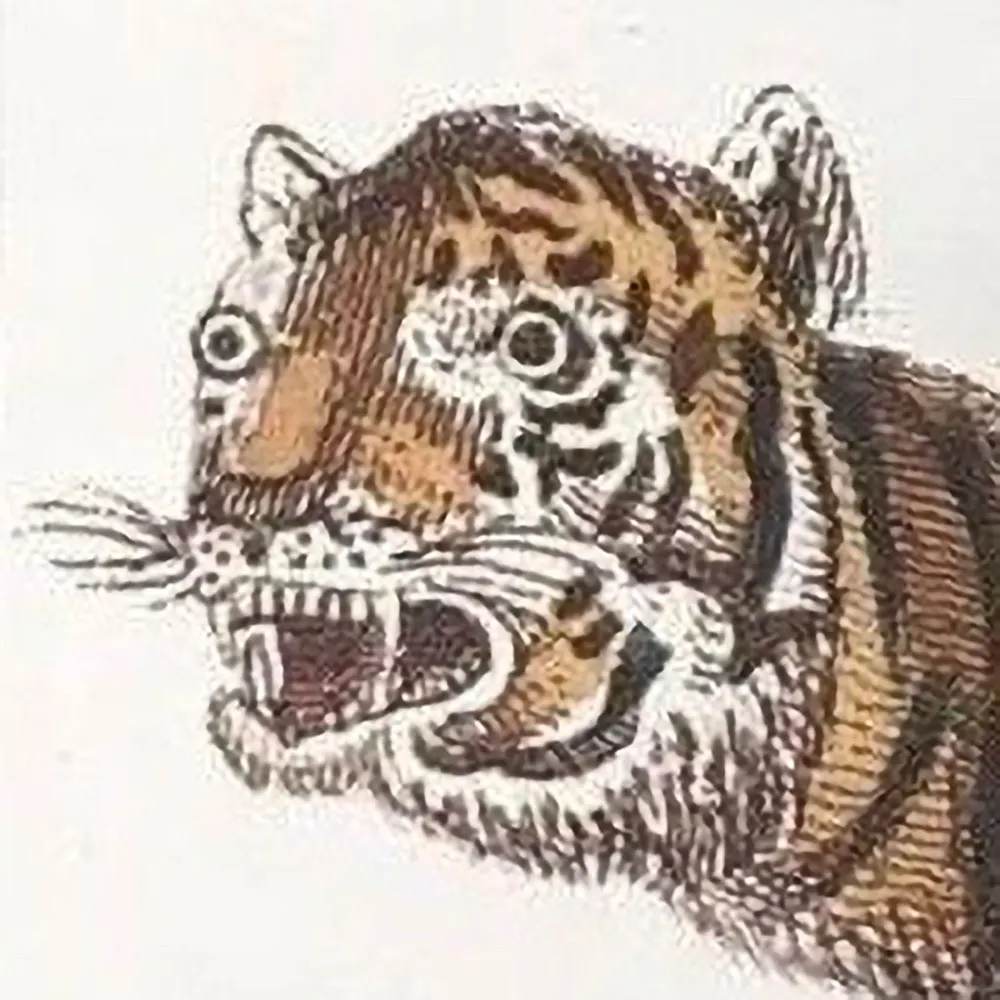 phineas.bsky.social's profile picture