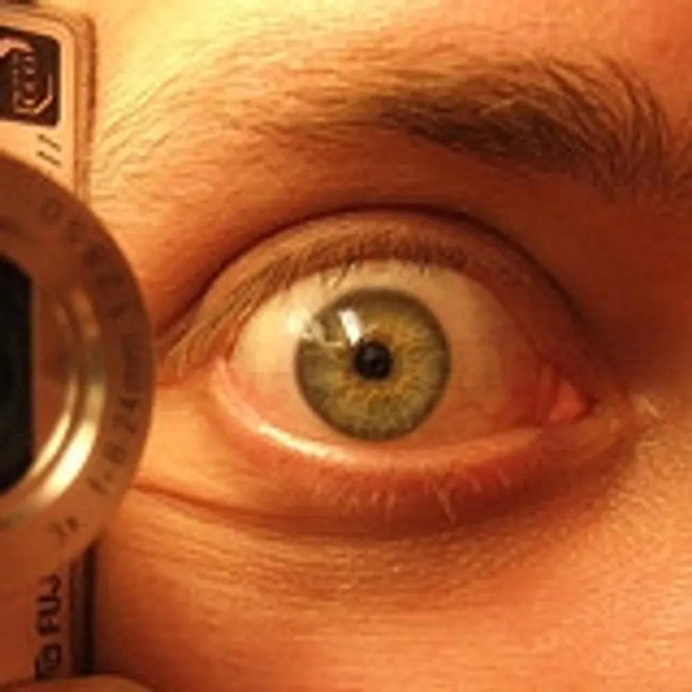 wetwebwork.bsky.social's profile picture