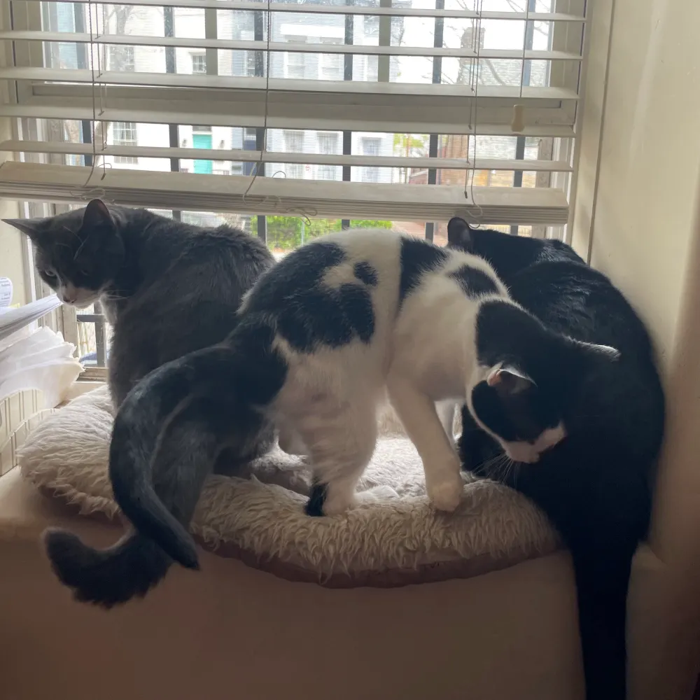 robjrii.bsky.social's profile picture