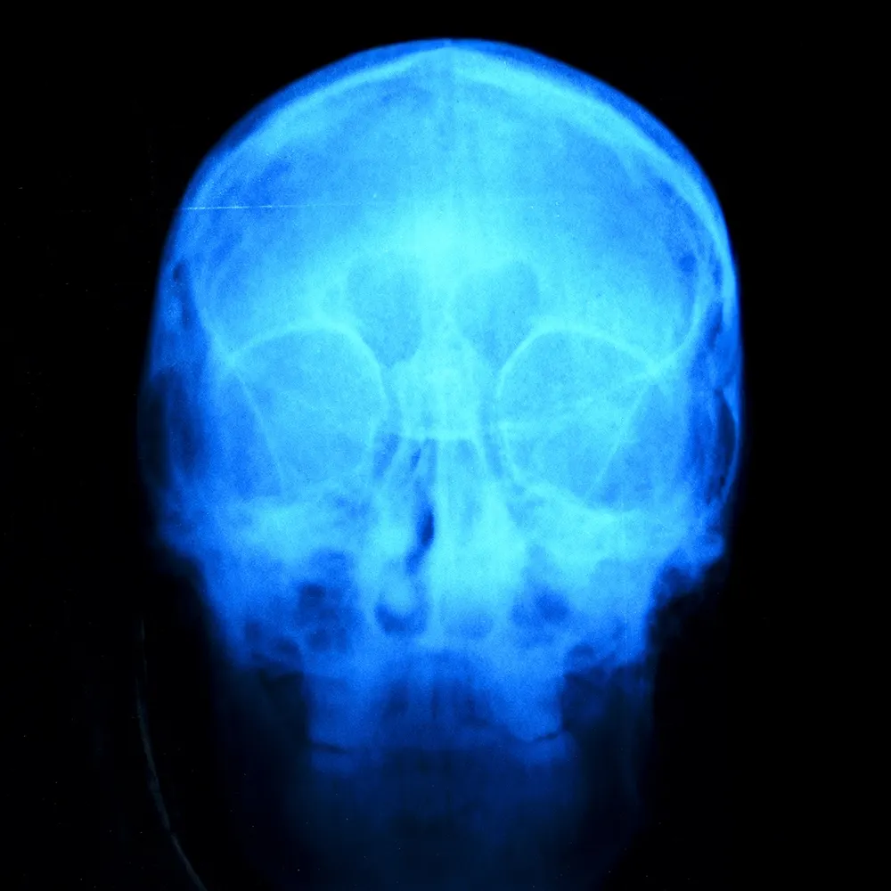 localcelebrity.bsky.social's profile picture