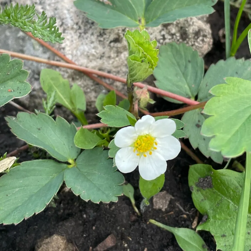 lbeingaware.bsky.social's profile picture