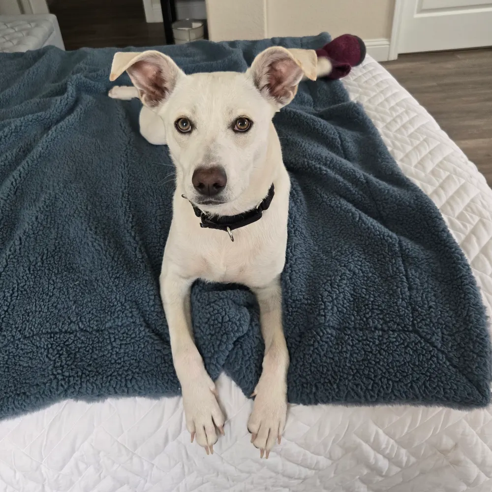 emmalove2015.bsky.social's profile picture