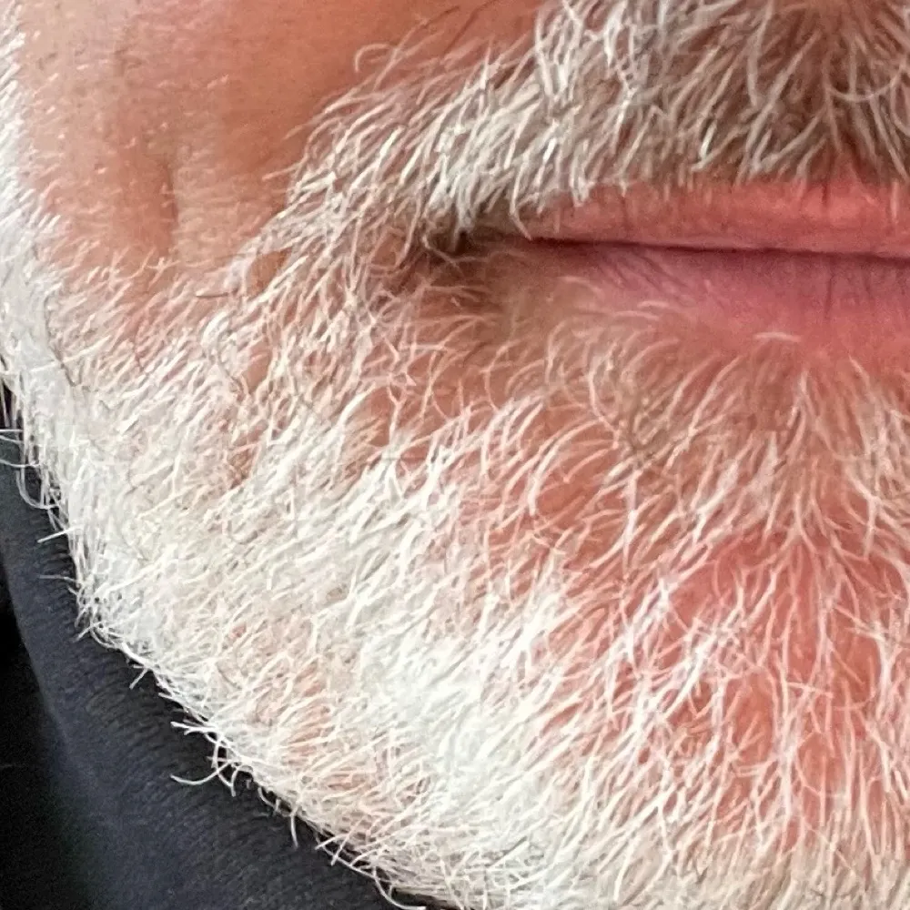 vtcommons.bsky.social's profile picture