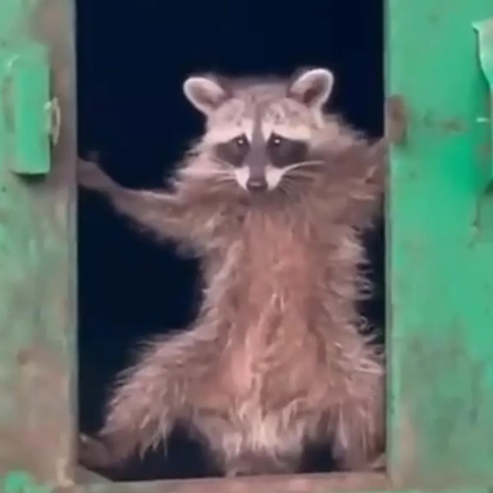 elistre.bsky.social's profile picture