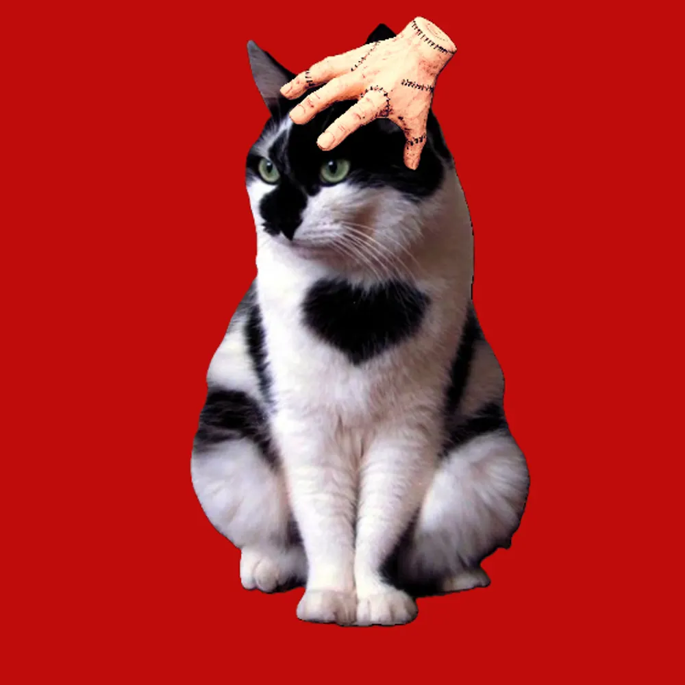 tuesdayadams111.bsky.social's profile picture